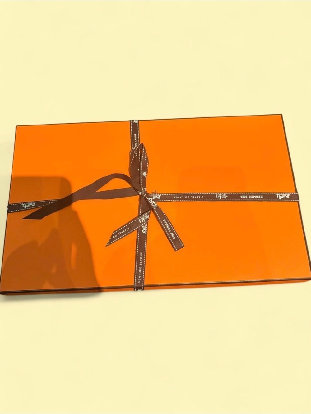 Hermes Orange Gift Box with Brown Ribbon